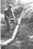 Tree felling with chainsaw