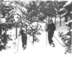 Elfrida skiing